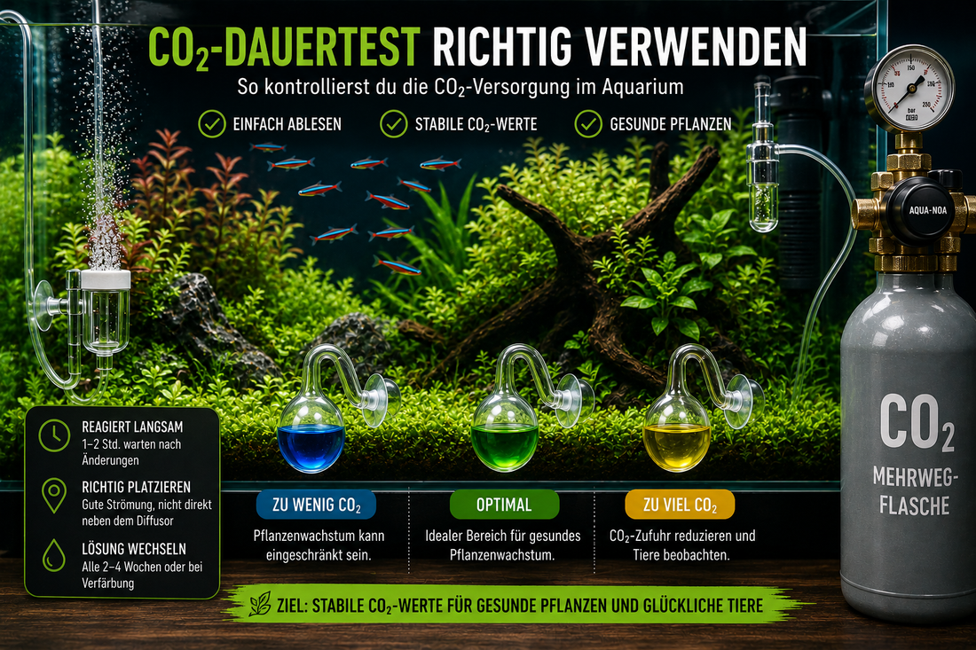 CO₂-Dauertest richtig verwenden und ablesen