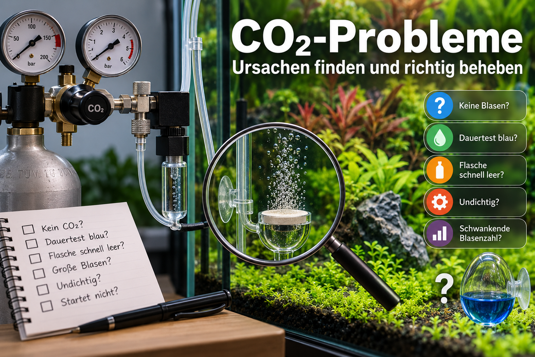 CO₂-Probleme im Aquarium erkennen und beheben mit CO₂-Flasche, Druckminderer, Blasenzähler, Diffusor und blauem CO₂-Dauertest