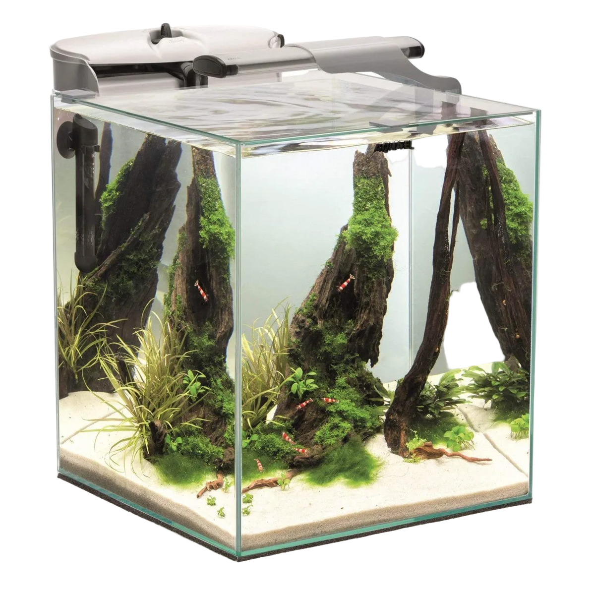 Aquael FISH & SHRIMP SET DUO D&N 35 – 49 l Aquarium-Komplettset