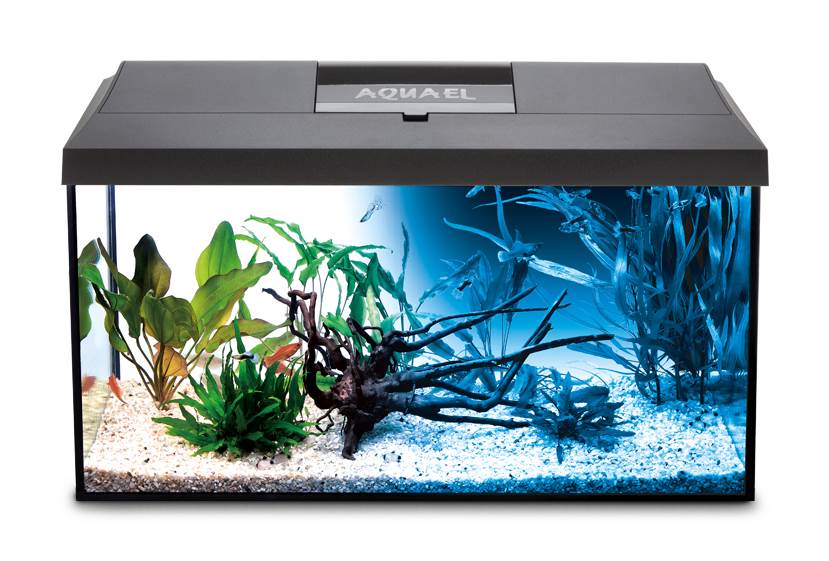 AQUAEL LEDDY DAY&NIGHT 40 Aquarium-Set Weiß mit 25 Liter