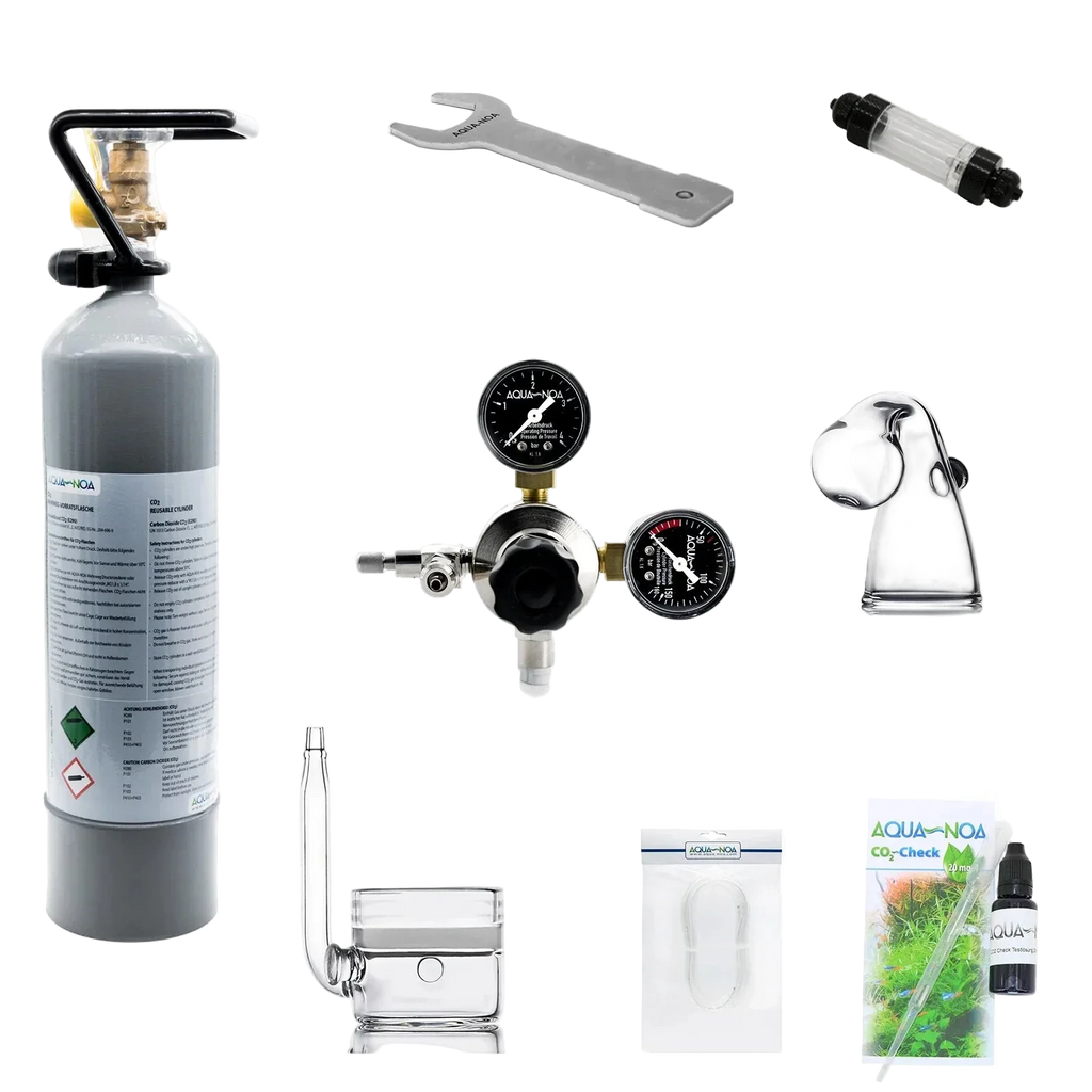 CO₂-Anlage 2 kg Mehrweg Profi mit Druckminderer, Diffusor und CO₂-Flasche