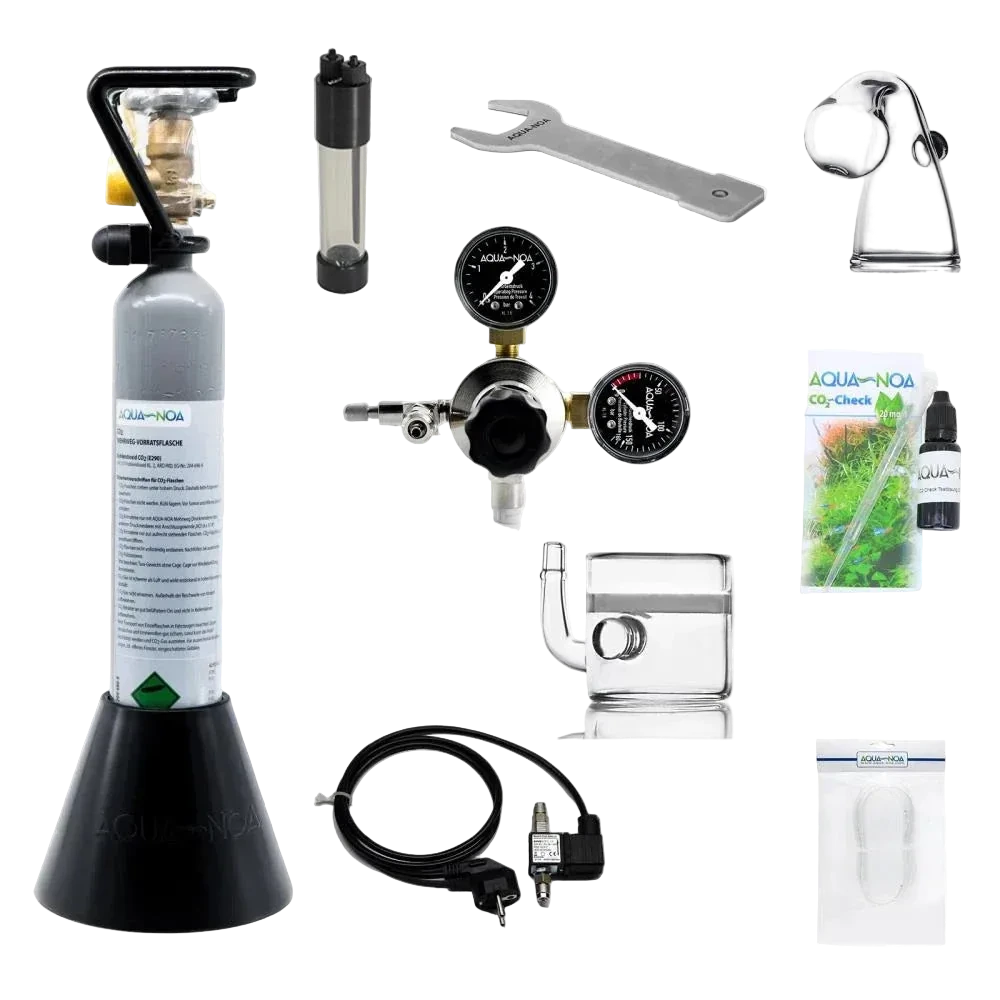 CO₂-Anlage 500 g Mehrweg mit Nachtabschaltung, Druckminderer und Glasdiffusor