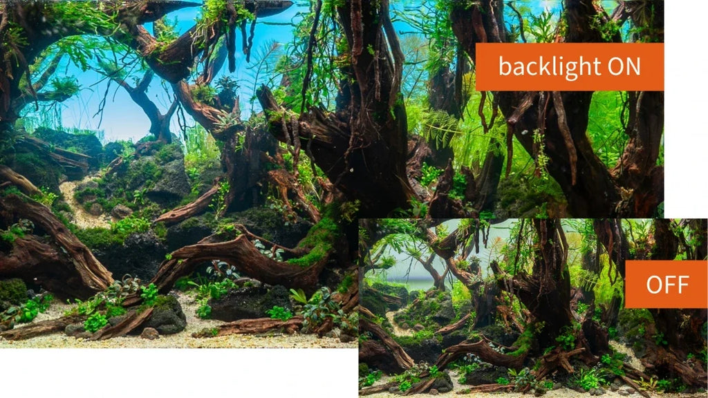 daytime® backlight POOL – LED-Rückwand für offene Aquarien