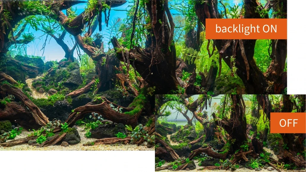 daytime® backlight POOL – LED-Rückwand für offene Aquarien