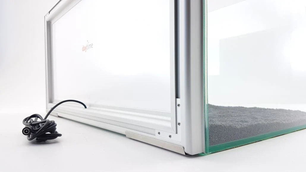 daytime® backlight POOL mit manuellem Dimm-Modul