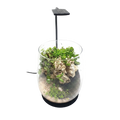 daytime kingcobra LED-Beleuchtung für Wabi-Kusa und offene Nano-Aquarien
