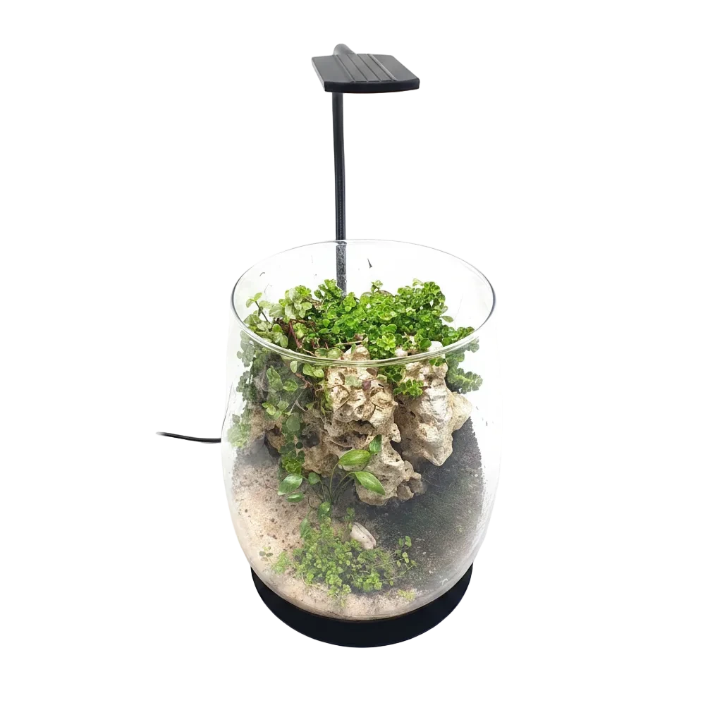 daytime kingcobra LED-Beleuchtung für Wabi-Kusa und offene Nano-Aquarien