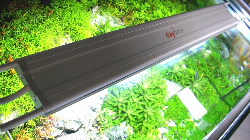 daytime matrix LED-Aquariumleuchte über einem bepflanzten Süßwasseraquarium