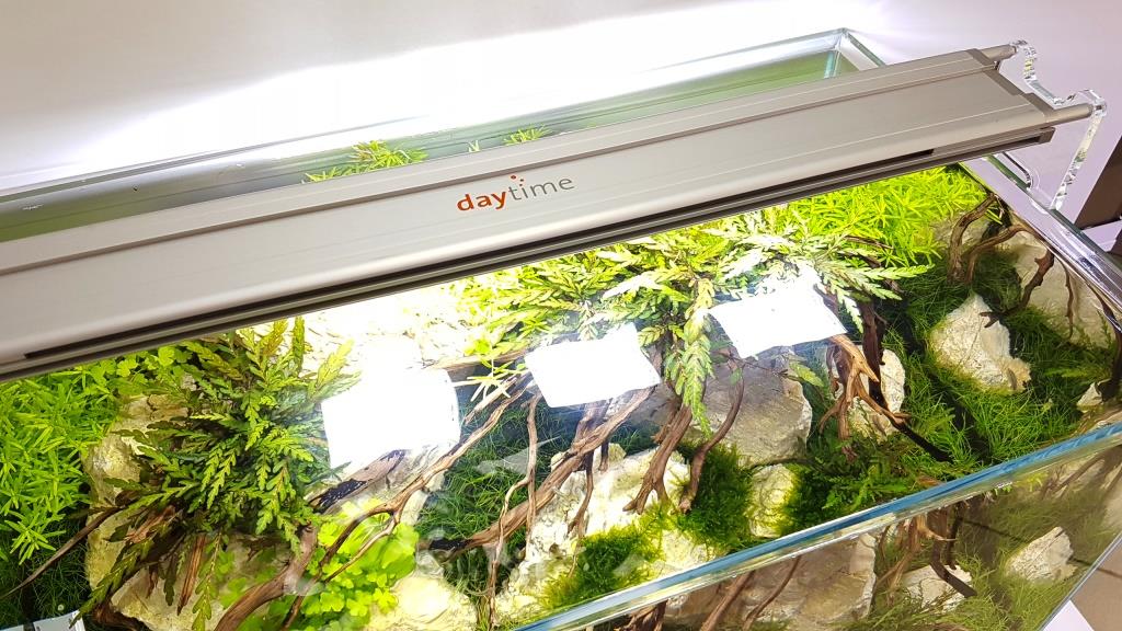 daytime matrix LED-Aquariumleuchte auf offenem Aquascaping-Aquarium