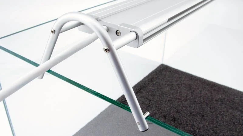 daytime matrix Swing-Adapter als erhöhte Auflage auf der Aquarienscheibe