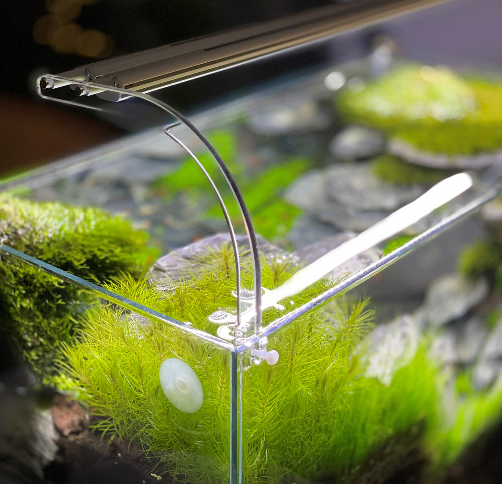 daytime unix und onex Acryl-Nano Adapter Set offenes Nano-Aquarien