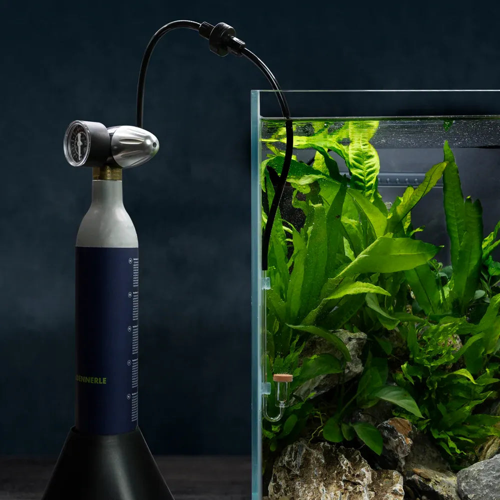Dennerle Carbo Soda M200 CO2 Anlage an einem bepflanzten Aquarium