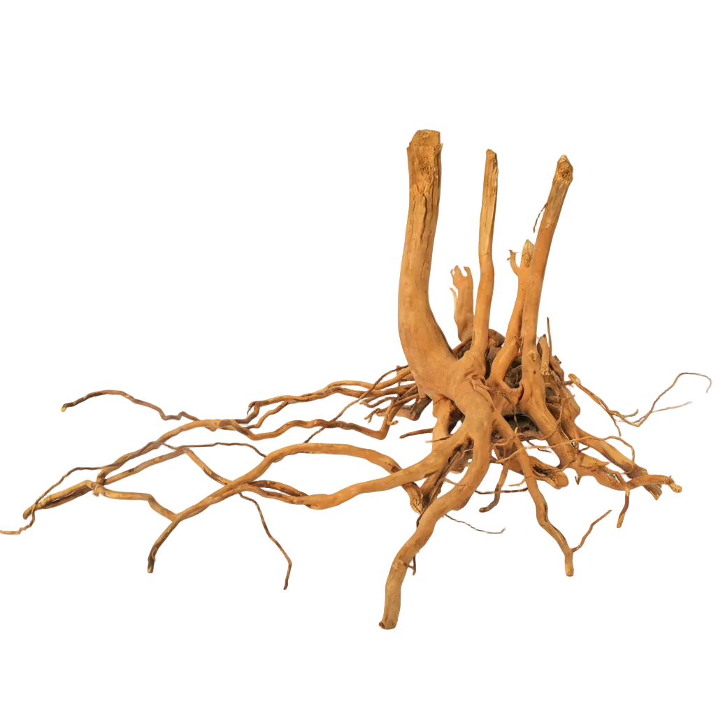 Fingerwurzel aus Naturholz für Aquarium und Aquascaping