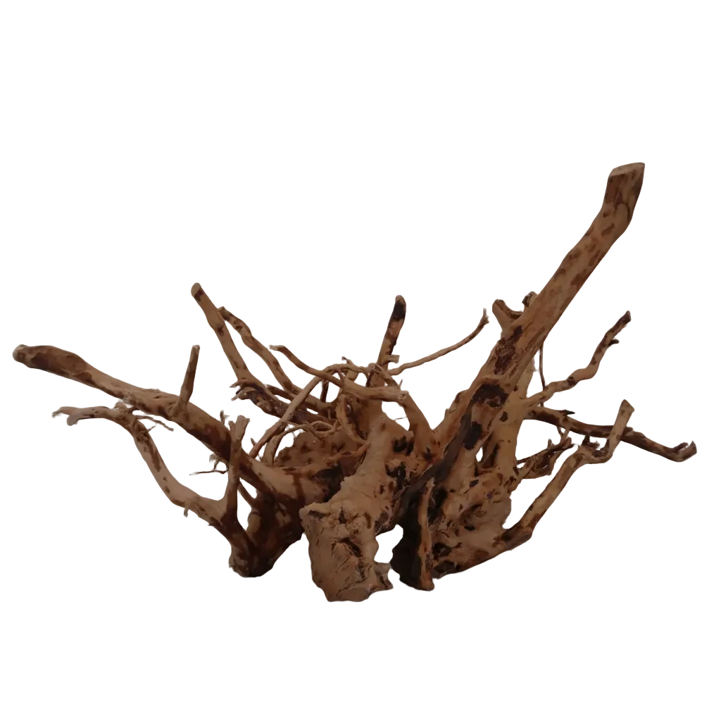 Fingerwurzel Large ca. 40 bis 60 cm für Aquarium und Aquascaping
