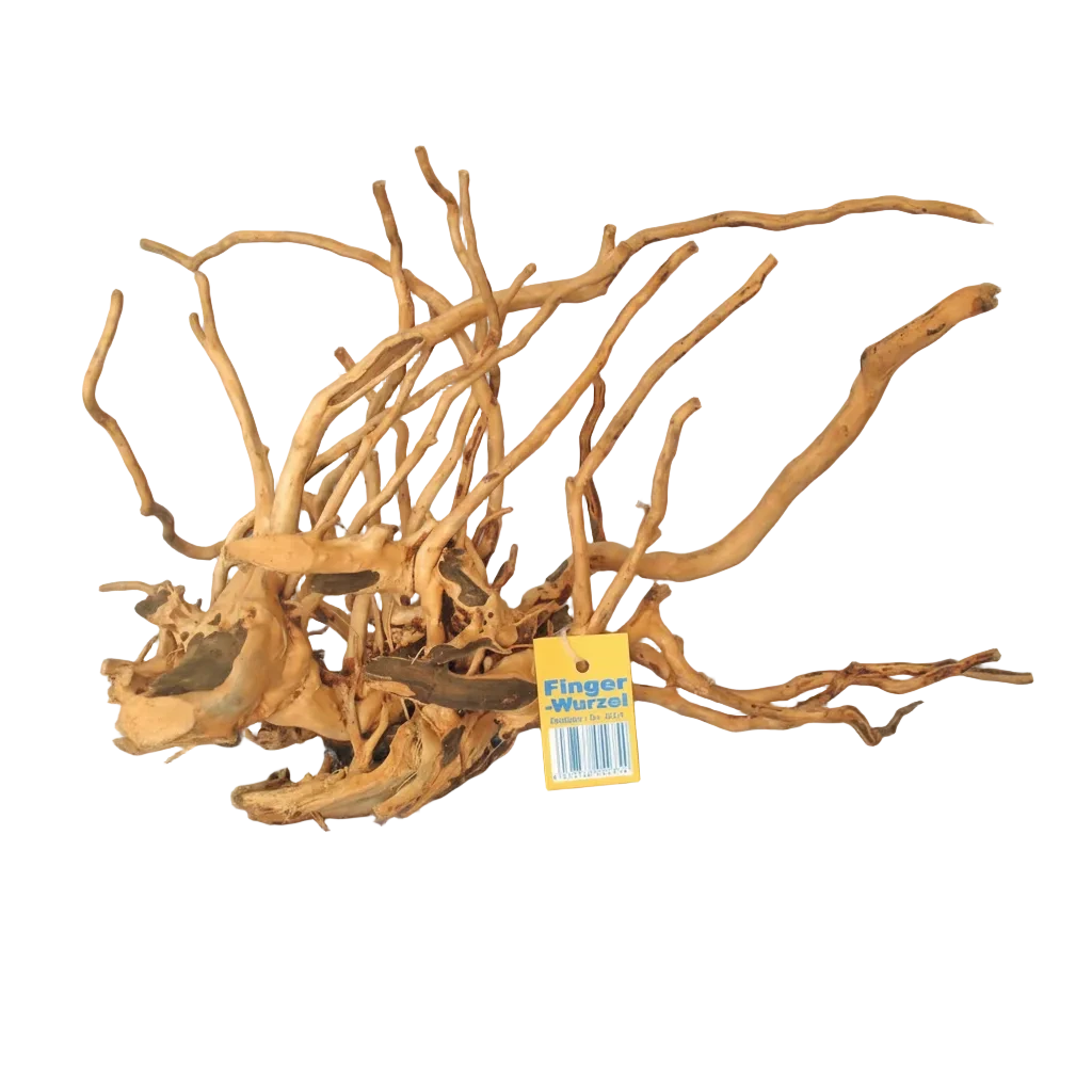 Fingerwurzel Medium ca. 30 bis 40 cm für Aquarium und Aquascaping