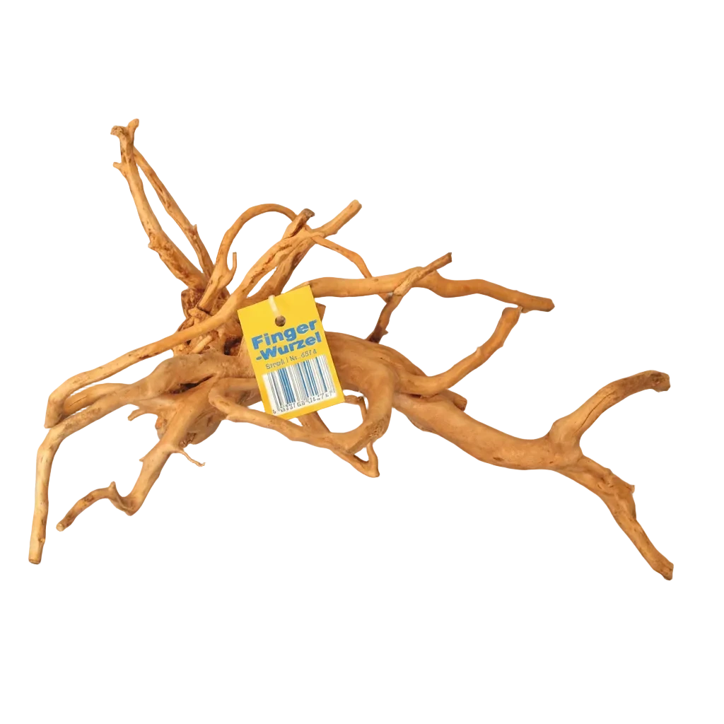 Fingerwurzel Small ca. 20 bis 30 cm für Aquarium und Aquascaping