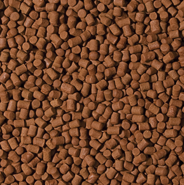 Tropical Sterlet Basic L – Störfutter in Größe L