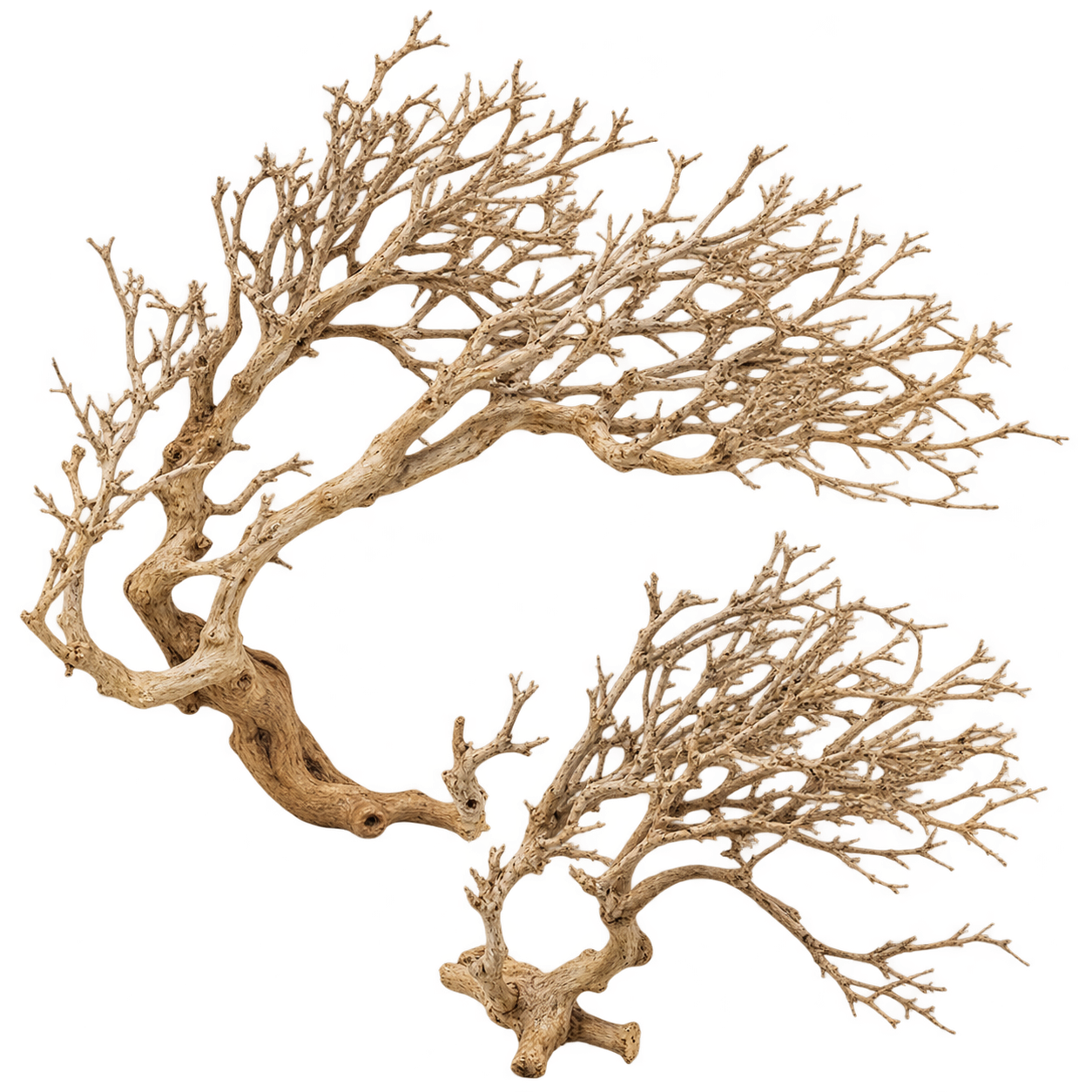 Garnelen-Bäumchen Dry Tree aus filigran verzweigtem Naturholz für Aquarium und Aquascaping – Beispielbild