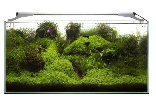 AQUAEL LEDDY SLIM SUNNY DAY&NIGHT LED-Aquariumleuchte