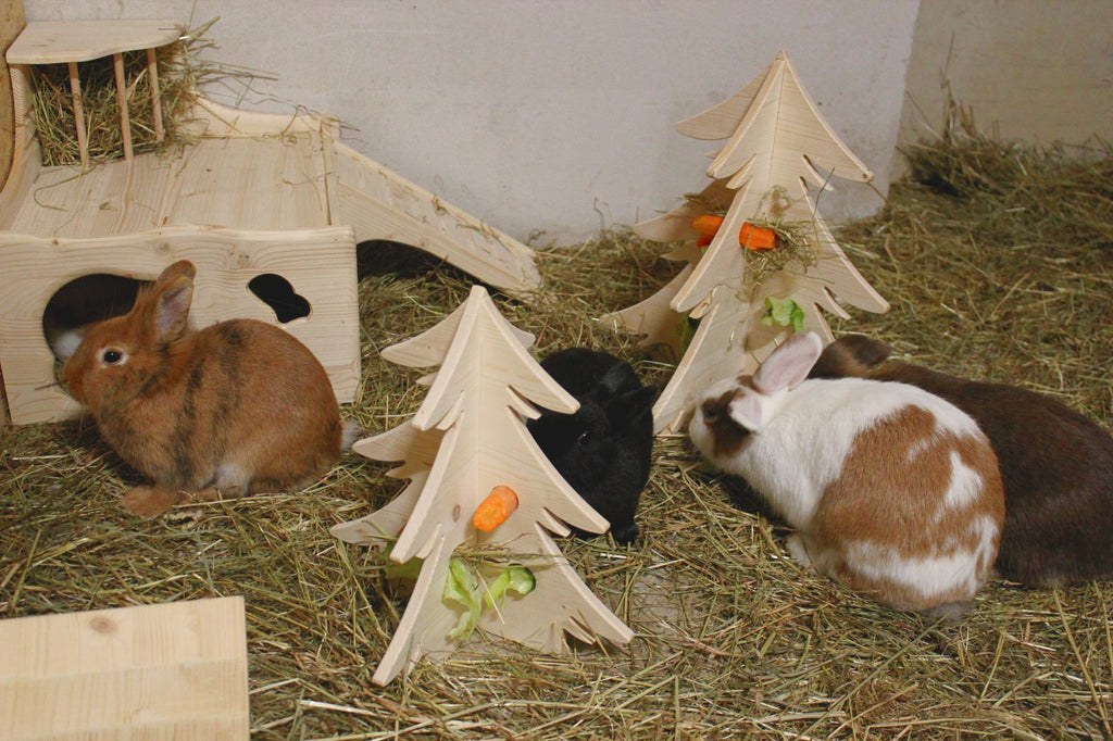 Resch Futterbaum aus Fichtenholz – Futterspielzeug für Kaninchen & Meerschweinchen – Hauptansicht