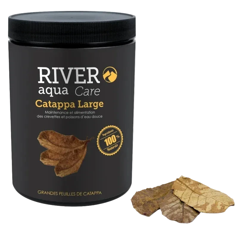 River Aqua Catappa Large – 20 große Seemandelbaumblätter für Garnelen, Wirbellose und Aquarien