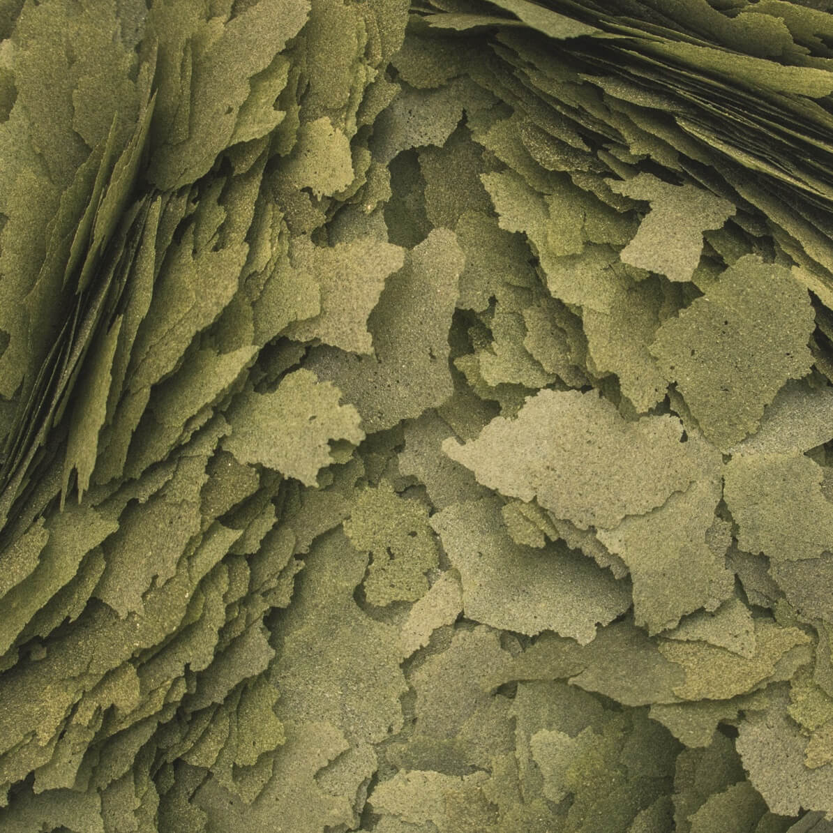 Tropical 3-Algae Flakes mit drei Algenarten