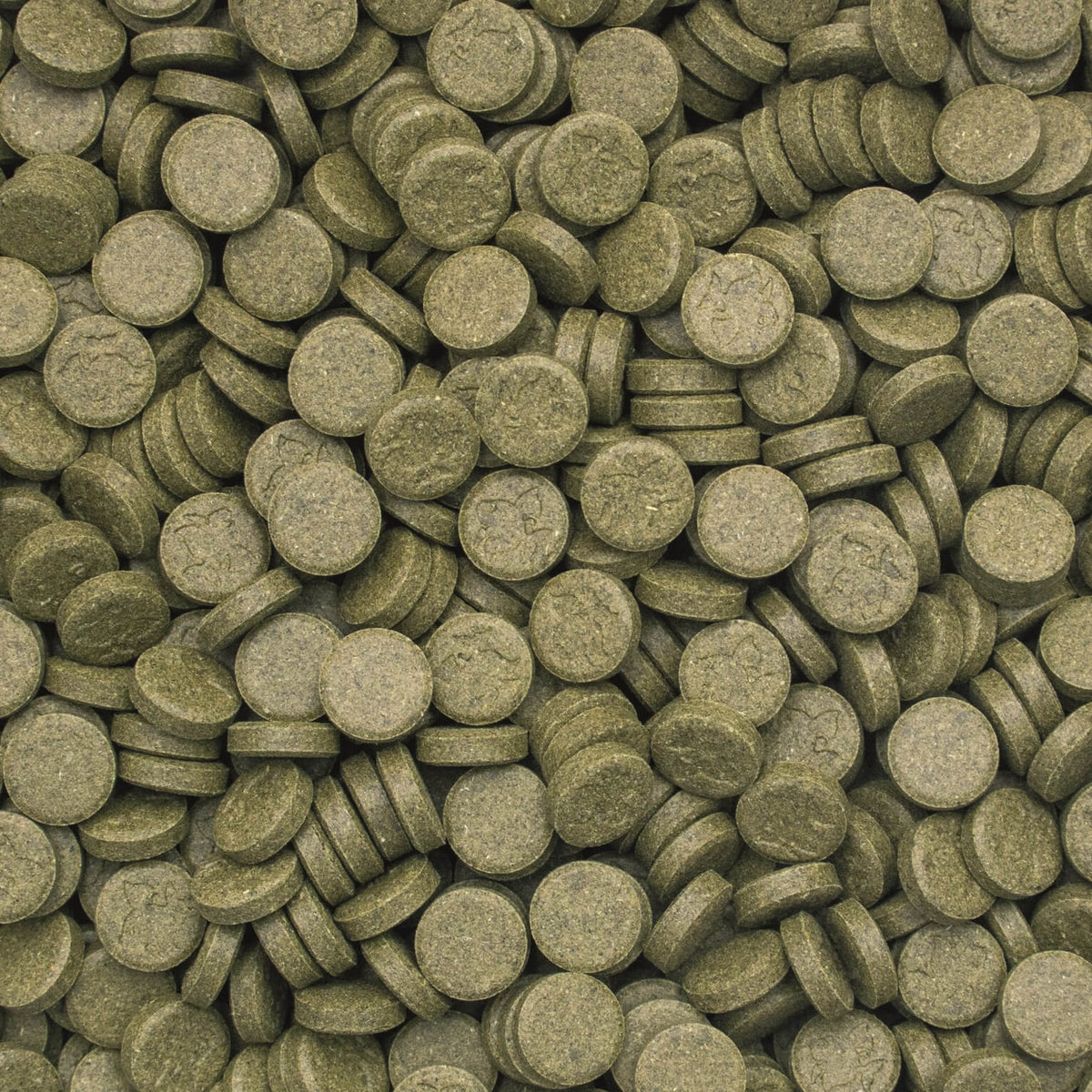 Tropical 3-Algae Tablets A Hafttabletten