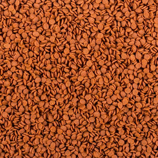 Tropical Soft Line Africa Carnivore M weiche sinkende 4 mm Futterchips für alles- und fleischfressende Cichliden