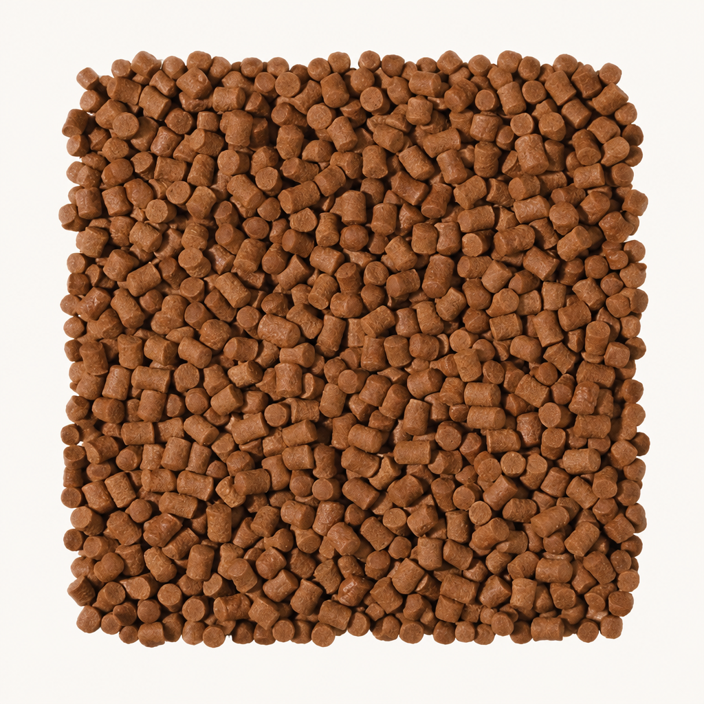 Tropical Sterlet – weitere Produktansicht 2