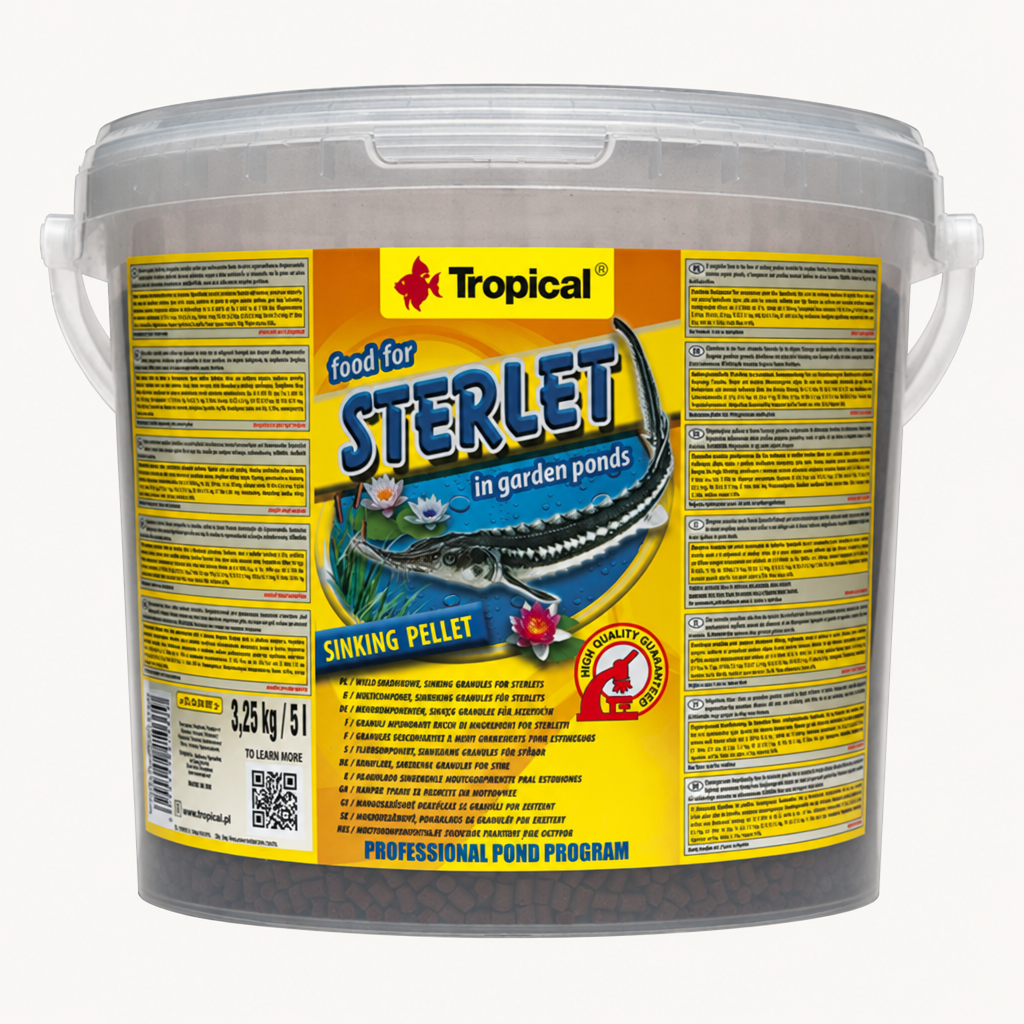 Tropical Sterlet – weitere Produktansicht 3