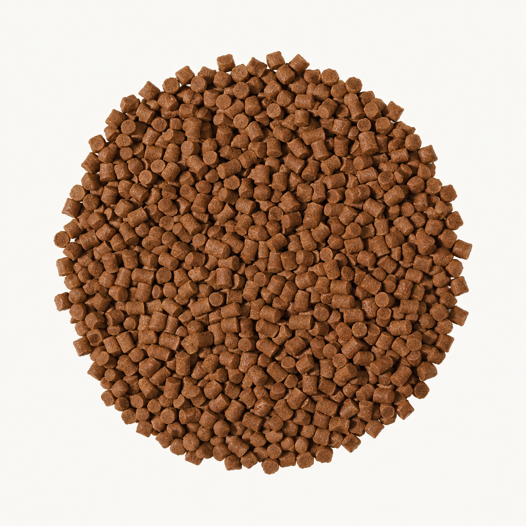 Tropical Sterlet Basic L – weitere Produktansicht 2
