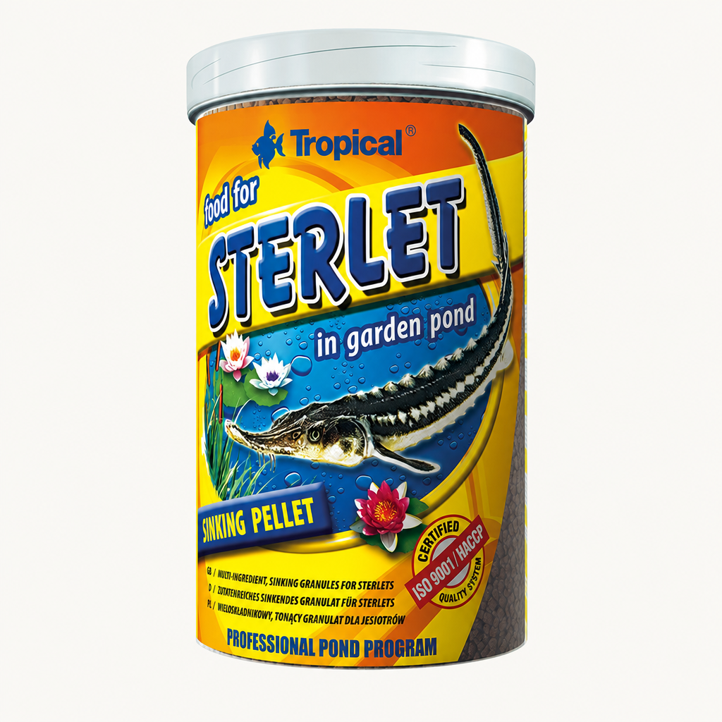 Tropical Sterlet – Produktabbildung