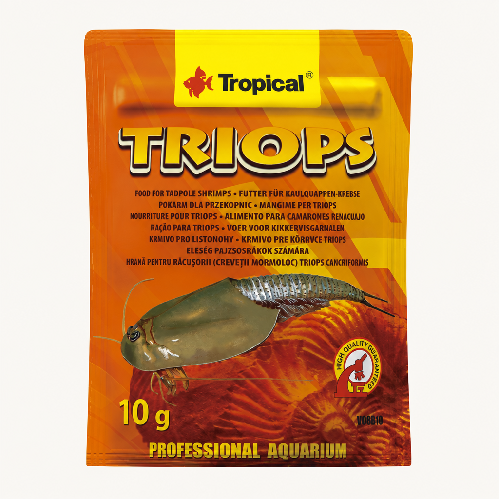 Tropical Triops – weitere Produktansicht 2