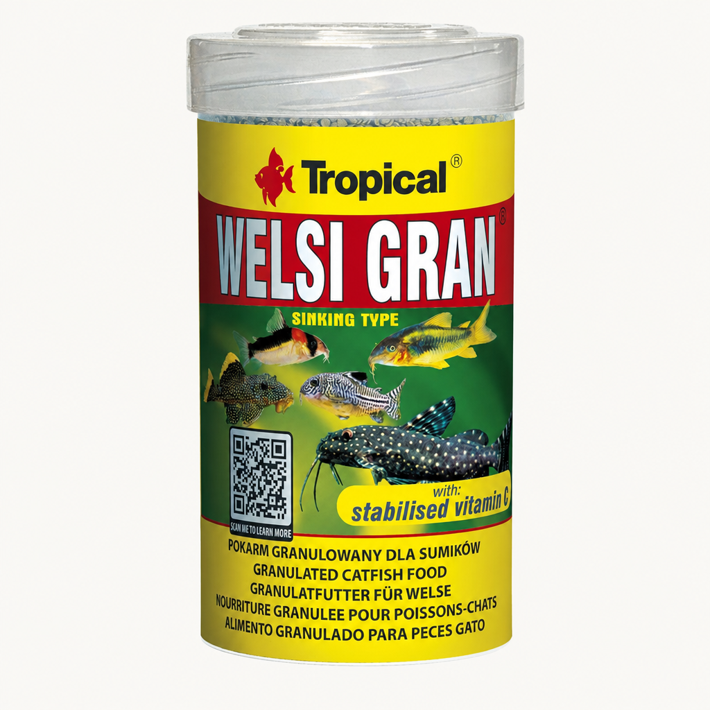 Tropical Welsi Gran – Produktabbildung