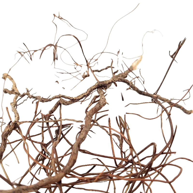 WIO Mini Roots Mix filigrane Naturwurzeln für Aquarium und Aquascaping
