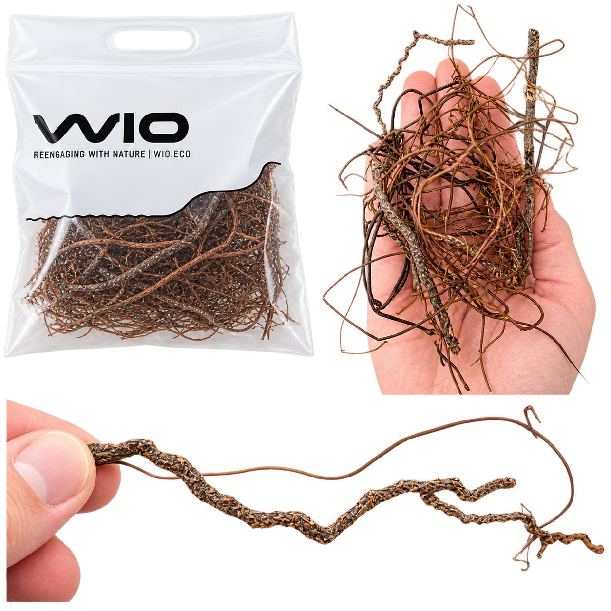 WIO Mini Roots Mix filigrane Wurzeln in der Hand als Größenvergleich