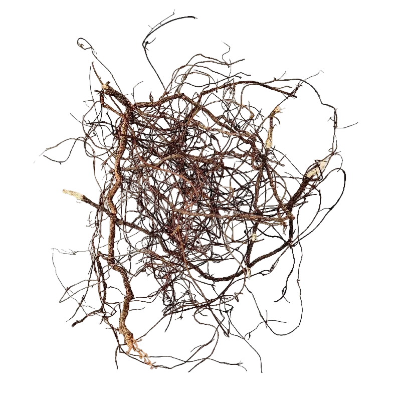 Mini Roots Mix