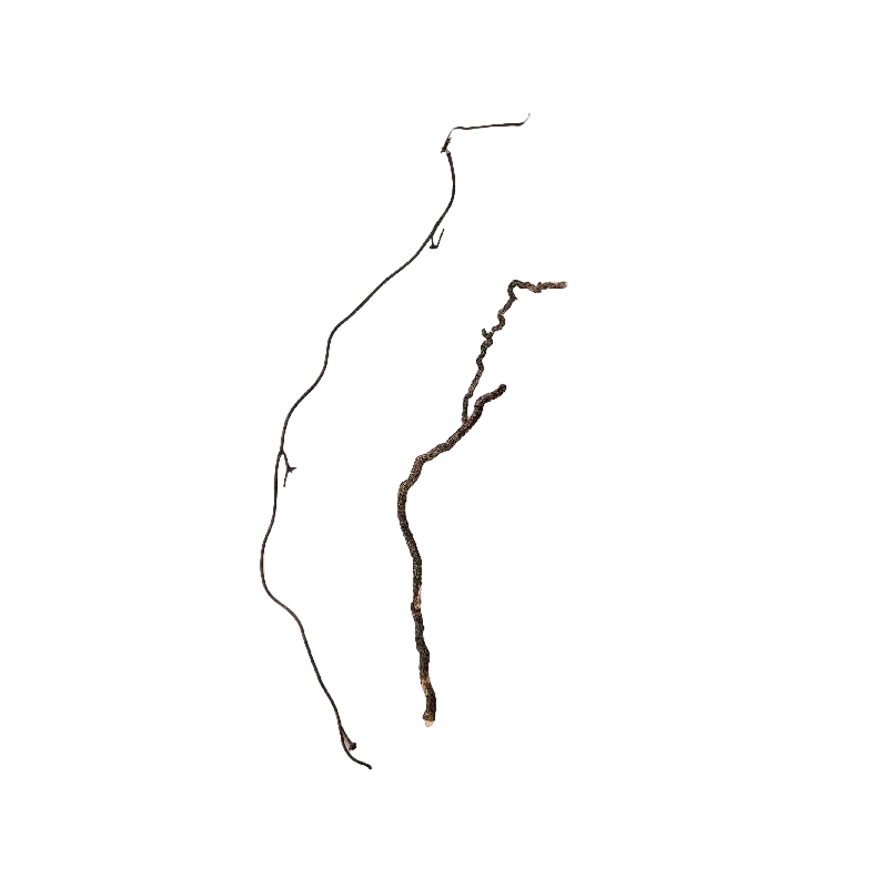 Mini Roots Mix