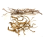Preview: SPIDER TWIGS ROOT MIX