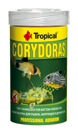 Preview: Corydoras