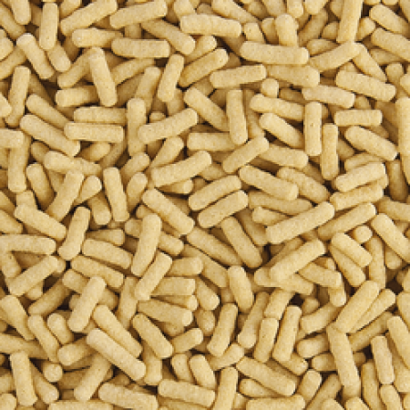 Preview: Koi & Goldfisch Basic Sticks Preview: Koi & Goldfisch Basic Sticks