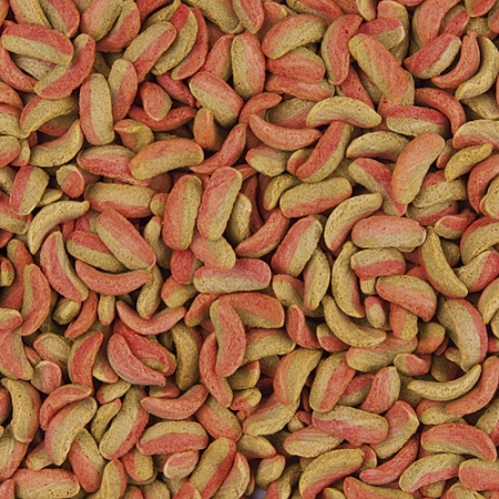 Preview: KOI CROISSANT COLOUR Preview: KOI CROISSANT COLOUR