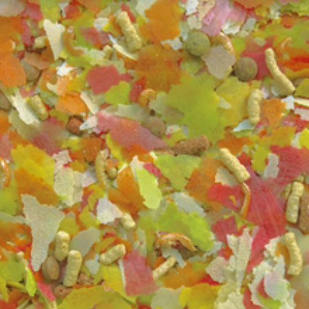 Preview: Tropical POND MIX - Flocken Sticks Granulat Preview: Tropical POND MIX - Flocken Sticks Granulat