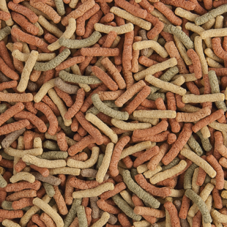 Preview: Pond Sticks Mixed - Tropical Preview: Pond Sticks Mixed - Tropical