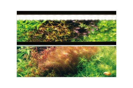 ADA AQUASKY MOON　601 ADA MIRROR UNIT (for AQUASKY and AQUASKY MOON) – Aqua Forest