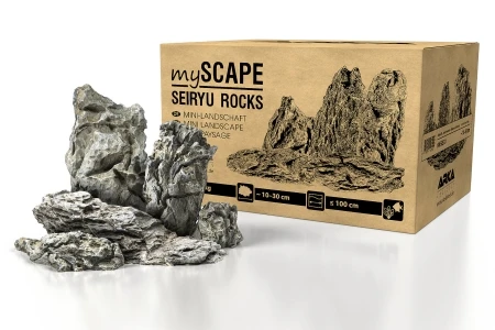 myScape - SEIRIYU ROCKS