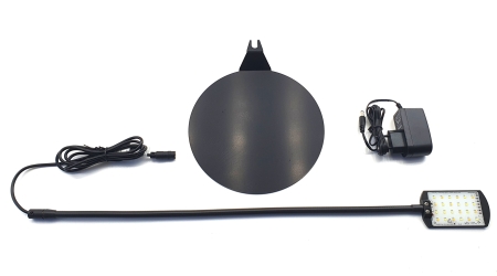 Preview: Daytime kingcobra