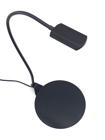 Preview: Daytime kingcobra