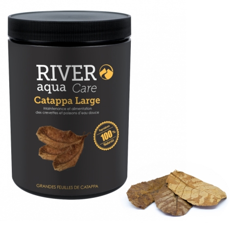 Catappa Large 1000 ml