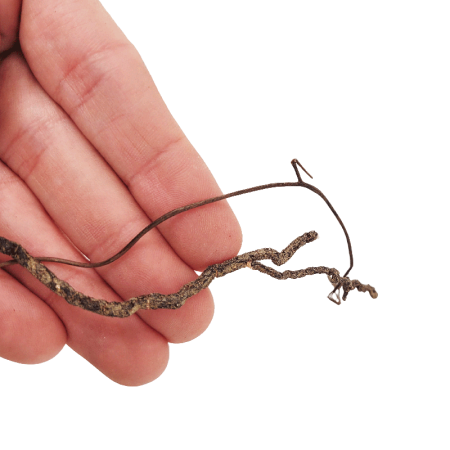 Preview: Mini Roots Mix